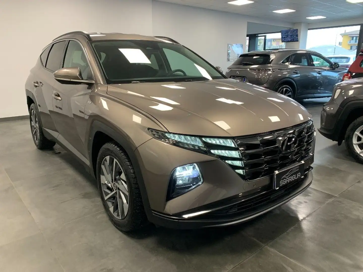 Hyundai TUCSON 1.6 CRDI / IBRIDO  48V DCT XLine Brun - 1