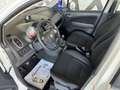 Suzuki Splash Splash 1.0 vvt GL Bianco - thumbnail 10