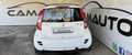 Suzuki Splash Splash 1.0 vvt GL Bianco - thumbnail 6