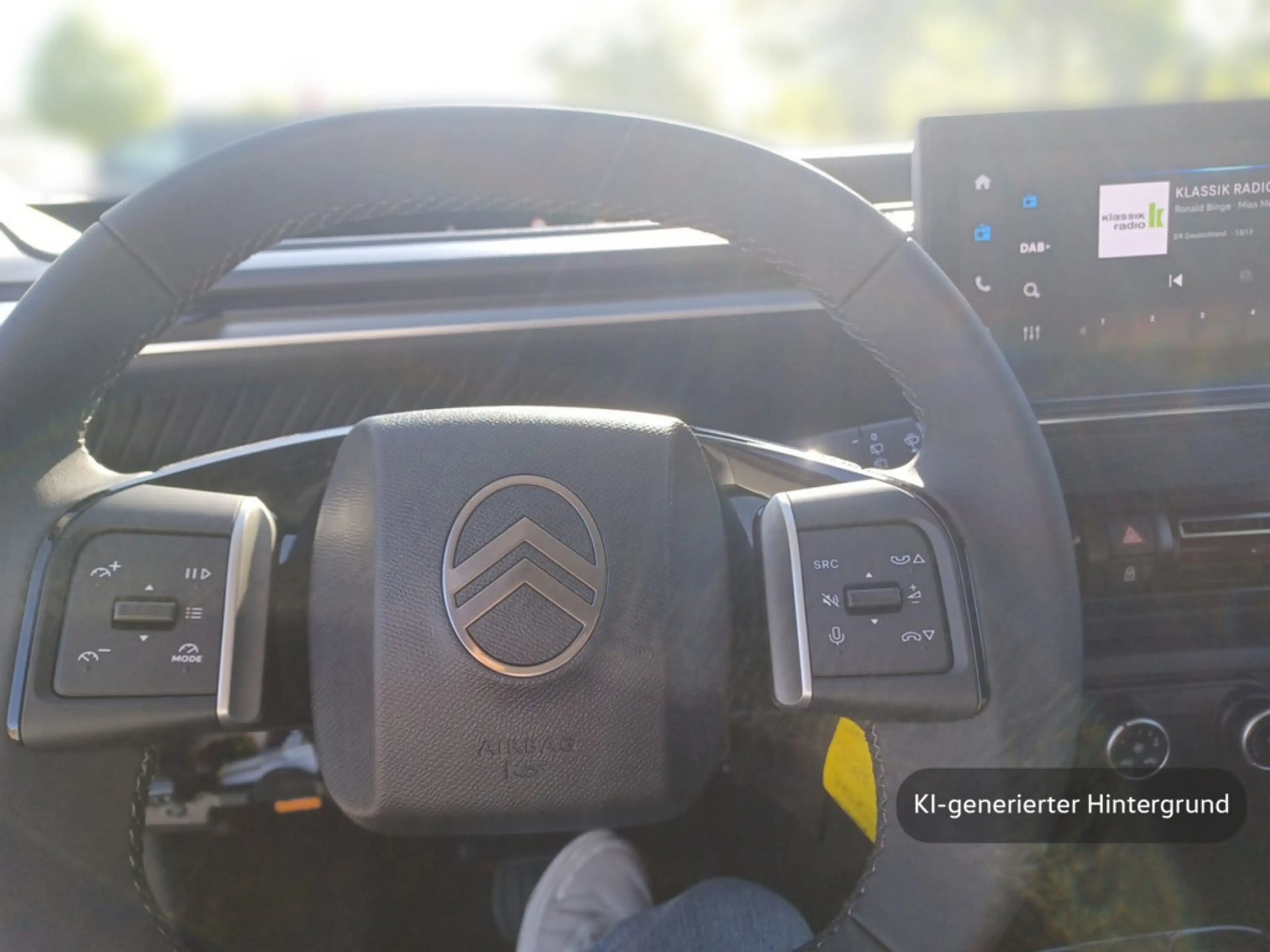 Citroen C3 ë 113 COLLECTION OnBoard Charger 11KW 3pha — photo 11