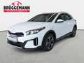 Kia XCeed XCEED 1.6 PLUG-IN-HYBRID DCT6 VISION KOMFORT NAVI Wit - thumbnail 1