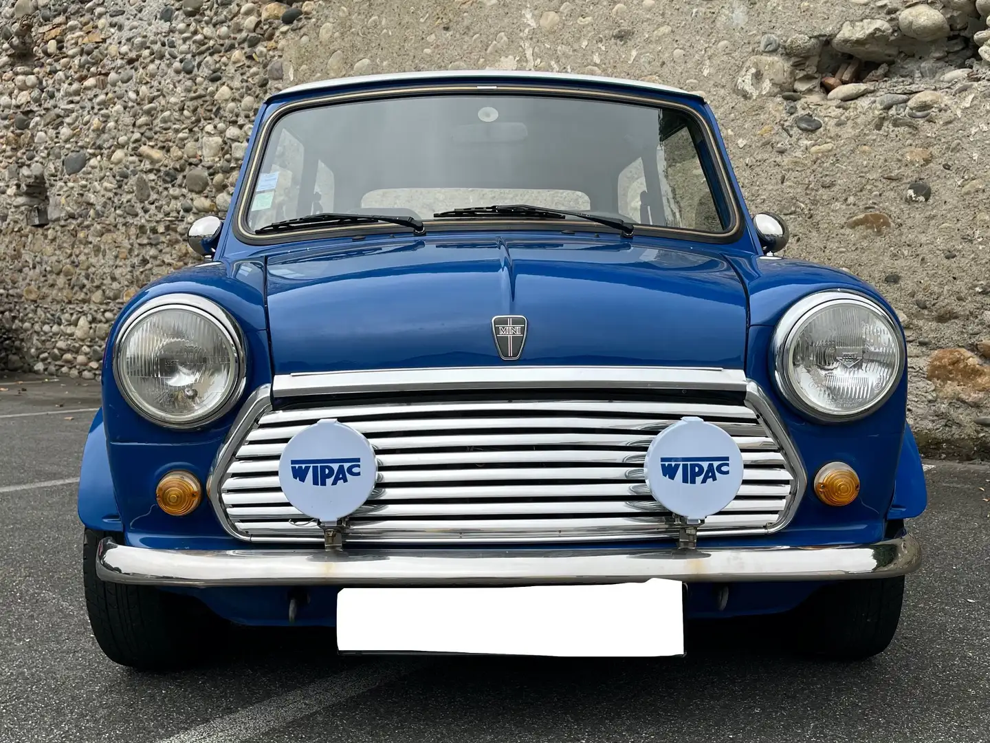 Rover MINI Sealine Albastru - 2