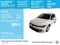 Volkswagen Golf VIII 1.5 eTSI Life DSG GAR.2029 App-Connect Weiß - thumbnail 1