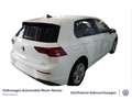 Volkswagen Golf VIII 1.5 eTSI Life DSG GAR.2029 App-Connect Weiß - thumbnail 8