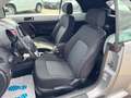 Volkswagen New Beetle Cabriolet 2.0 Liter SHG 1.Hand Silber - thumbnail 12