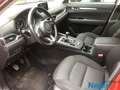 Mazda CX-5 NEU SKYACTIV-G 165 MT Exclusive Navi ACT Rot - thumbnail 8
