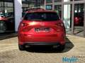 Mazda CX-5 NEU SKYACTIV-G 165 MT Exclusive Navi ACT Rot - thumbnail 4
