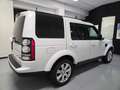 Land Rover Discovery 4 3.0 TDV6 211CV 7 POSTI Bianco - thumbnail 6