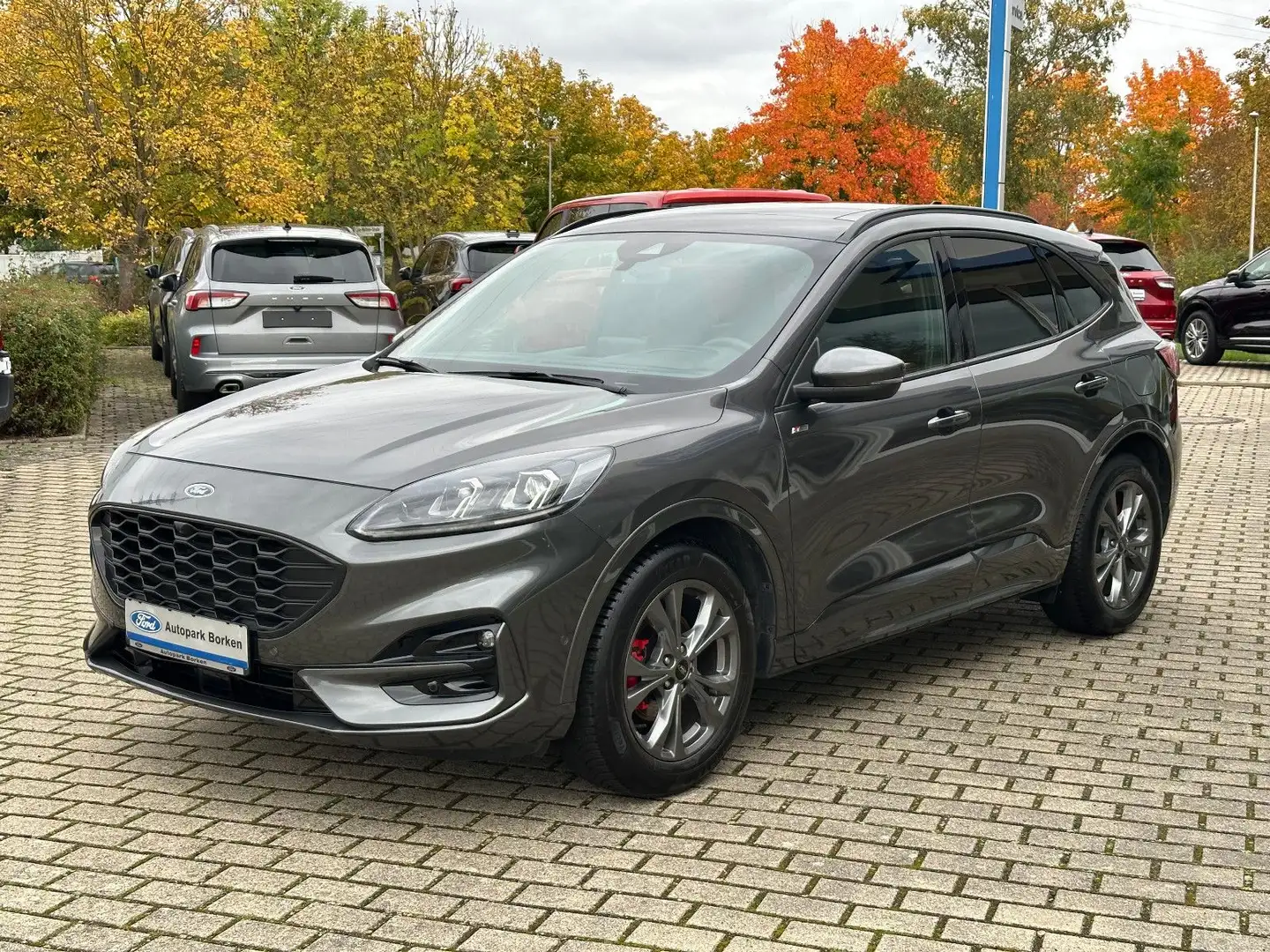 Ford Kuga ST-Line X Panorama Technologie Paket Winter Grau - 1