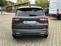 Ford Kuga ST-Line X Panorama Technologie Paket Winter Grau - thumbnail 5