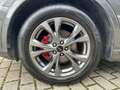 Ford Kuga ST-Line X Panorama Technologie Paket Winter Grau - thumbnail 9