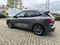 Ford Kuga ST-Line X Panorama Technologie Paket Winter Grau - thumbnail 7