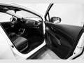 Suzuki SX4 S-Cross S2 1.5 MY24 Blanco - thumbnail 8