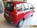 Fiat Panda 1.0 FireFly S&S Hybrid Icon km0 Rosso - thumbnail 6