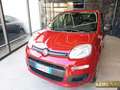 Fiat Panda 1.0 FireFly S&S Hybrid Icon km0 Rosso - thumbnail 3