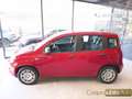 Fiat Panda 1.0 FireFly S&S Hybrid Icon km0 Rosso - thumbnail 8