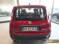 Fiat Panda 1.0 FireFly S&S Hybrid Icon km0 Rosso - thumbnail 7