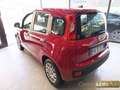 Fiat Panda 1.0 FireFly S&S Hybrid Icon km0 Rosso - thumbnail 4