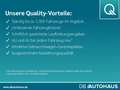 Fiat Fiorino Kombi SX 1.3 Multijet Grau - thumbnail 20