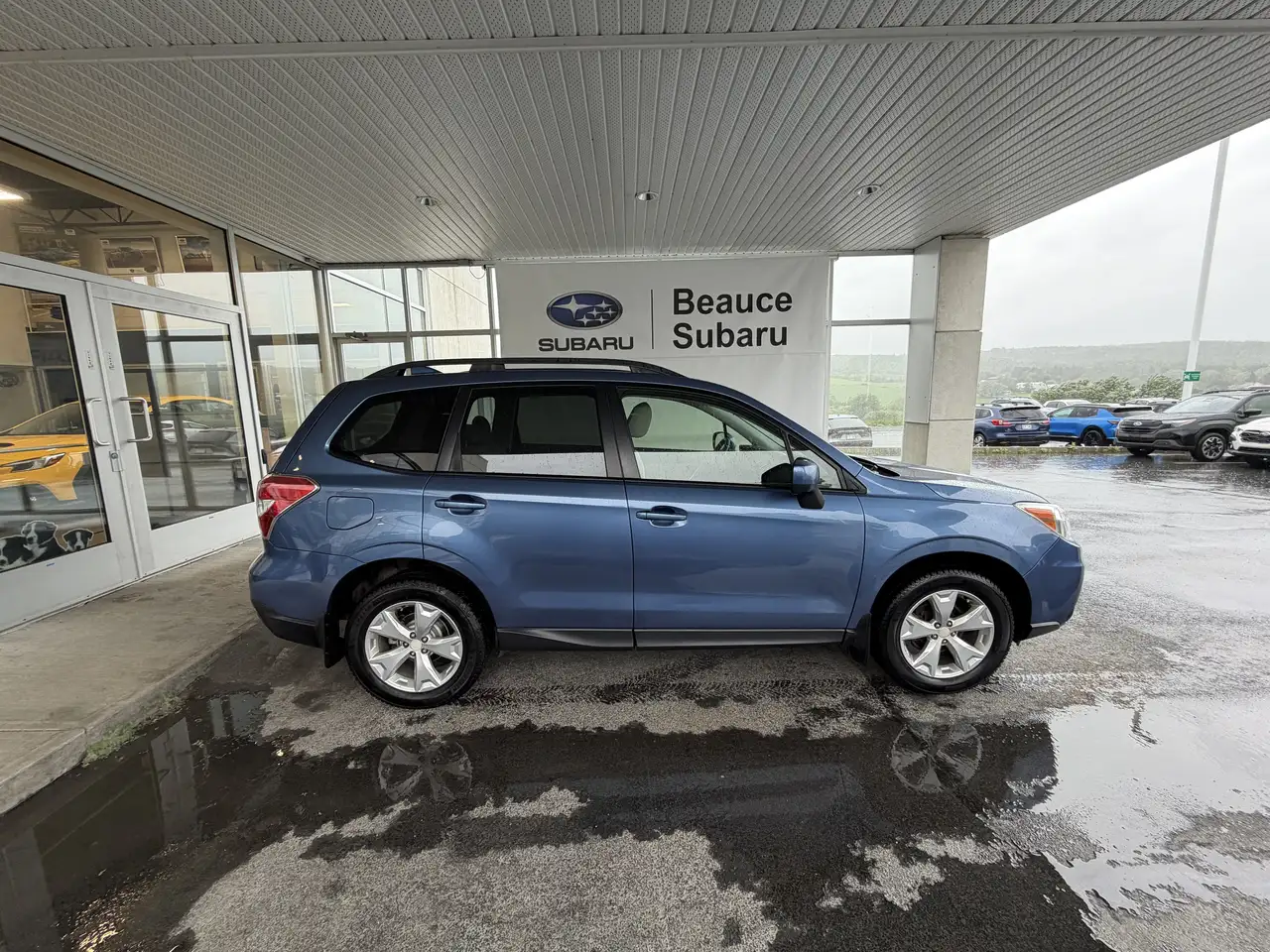 Subaru Forester fotografie Subaru Forester