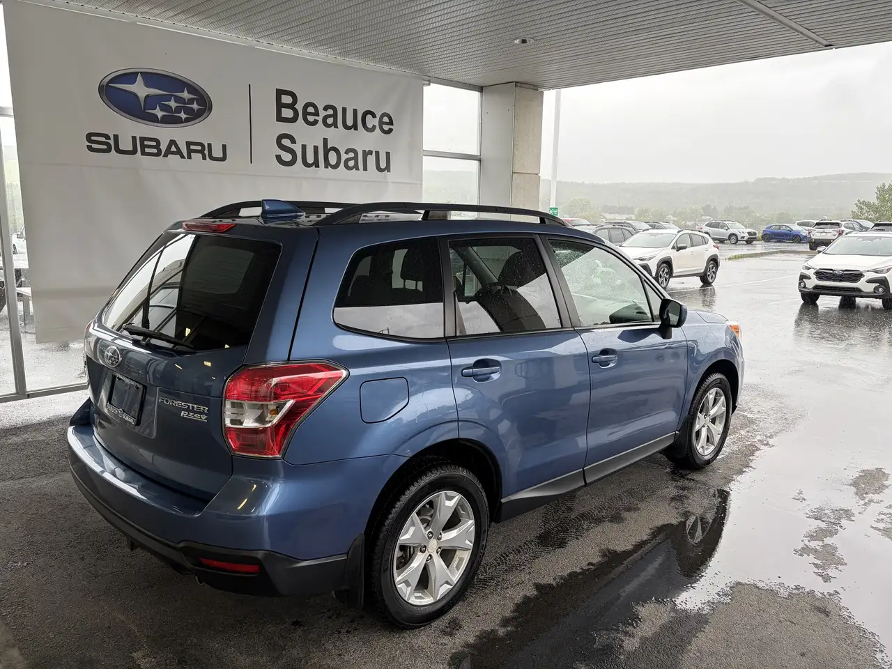 Subaru Forester fotografie Subaru Forester