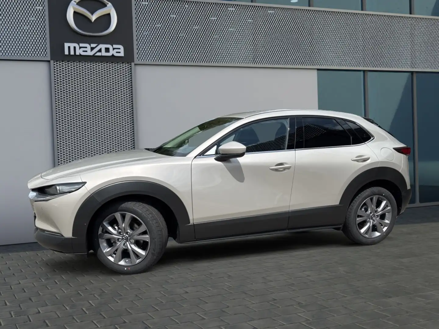 Mazda CX-30 e-SKYACTIV-G 140 FWD 6AT CENTRE DESI Brun - 2
