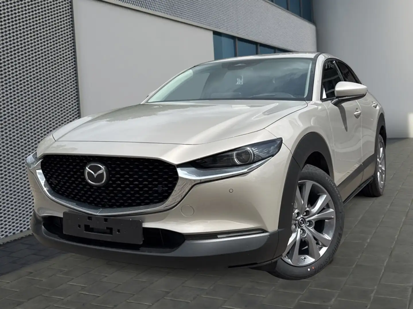 Mazda CX-30 e-SKYACTIV-G 140 FWD 6AT CENTRE DESI Brun - 1