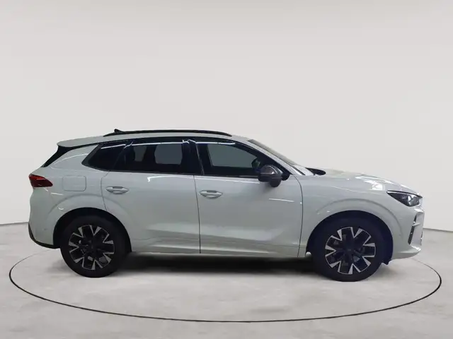 Cupra Terramar view 3