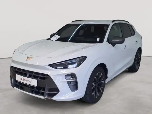 Cupra Terramar view 2