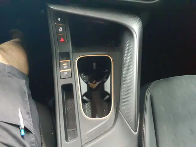 Cupra Terramar view 10