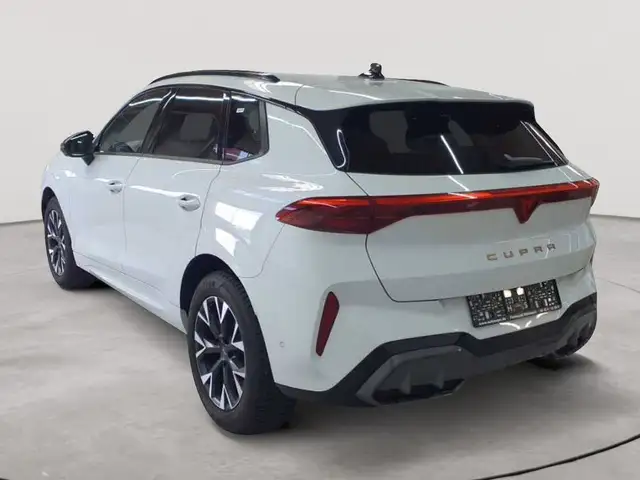 Cupra Terramar view 5