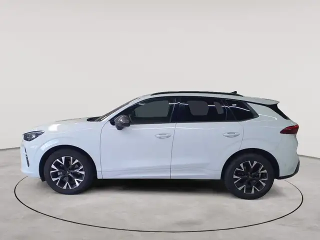 Cupra Terramar view 6