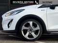 Ford Fiesta Active 1.0 Ecoboost Start&Stop Weiß - thumbnail 14