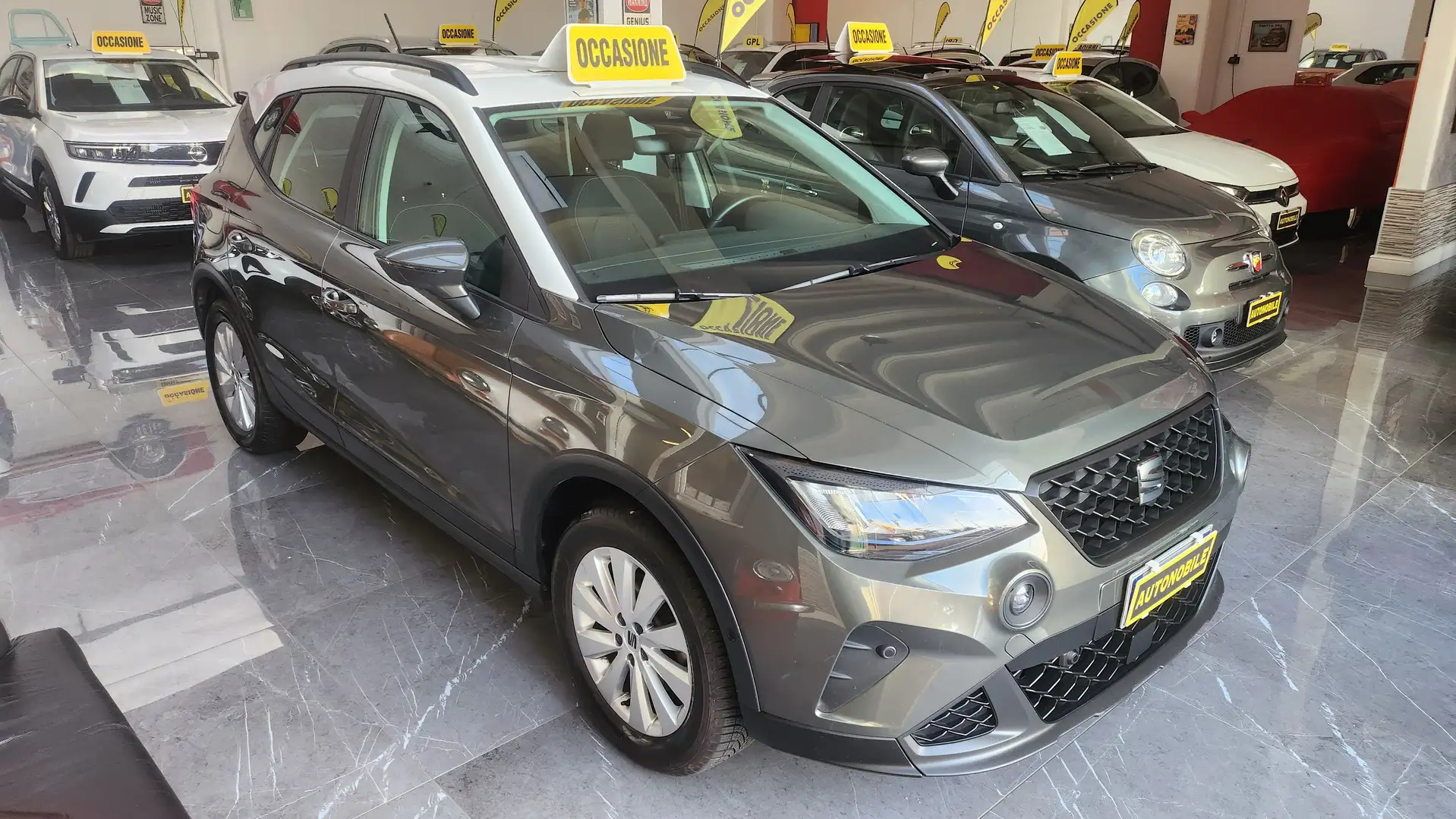 SEAT Arona Arona 1.0 ecotsi Xperience 95cv Targa GN255AR Grün - 2