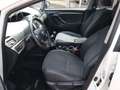 Toyota Verso Executive 1.8 XENON KEYLESS RFK TEMPOMAT Weiß - thumbnail 6