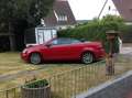Volkswagen Eos Basis BMT Rosso - thumbnail 15