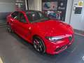 Alfa Romeo Giulia 2.9 Quadrifoglio Aut. 520 RWD Rojo - thumbnail 5