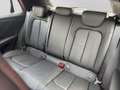 Audi SQ2 2.0 TFSI quattro S line Alu19 MatrixLED Pano Rot - thumbnail 15
