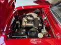 Alfa Romeo GT GTC Rood - thumbnail 18