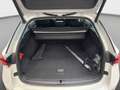 Skoda Octavia Combi 2.0 TDI DSG Style*Navi*Pano*StHzg* Weiß - thumbnail 11