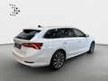 Skoda Octavia Combi 2.0 TDI DSG Style*Navi*Pano*StHzg* Weiß - thumbnail 16