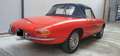 Alfa Romeo Spider 1.6 Duetto "osso di seppia" 1° serie Rot - thumbnail 6