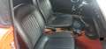 Alfa Romeo Spider 1.6 Duetto "osso di seppia" 1° serie Rot - thumbnail 9
