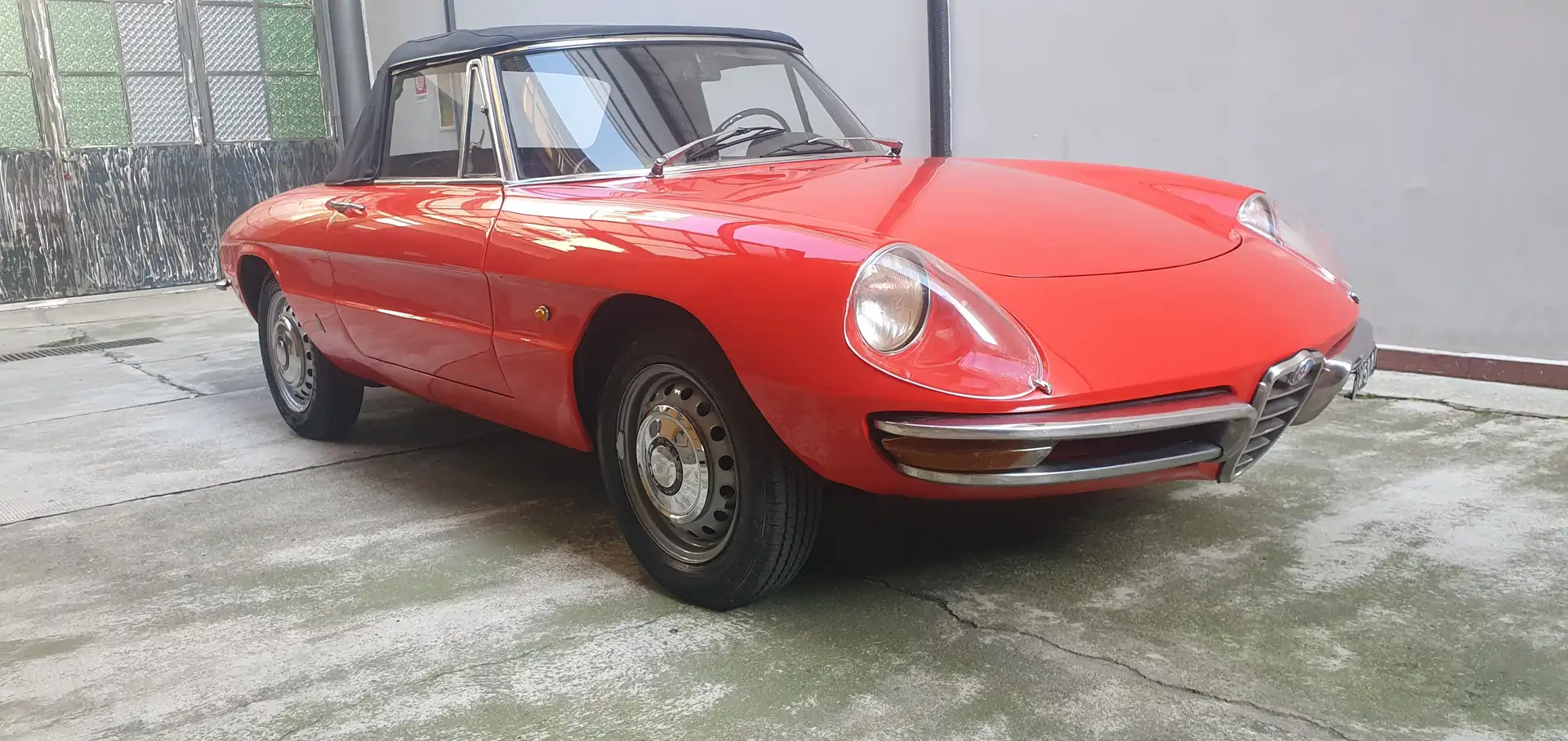 Alfa Romeo Spider 1.6 Duetto "osso di seppia" 1° serie Rot - 1