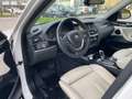 BMW X4 X4 xDrive20d xLine*Gancio traino*Pelle*Navi*Tetto* Bianco - thumbnail 10