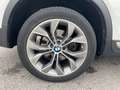 BMW X4 X4 xDrive20d xLine*Gancio traino*Pelle*Navi*Tetto* Bianco - thumbnail 9
