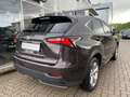 Lexus NX 300h 300h Luxury Line E-Four Maro - thumbnail 6