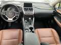 Lexus NX 300h 300h Luxury Line E-Four Brązowy - thumbnail 11