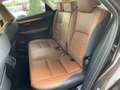 Lexus NX 300h 300h Luxury Line E-Four Bruin - thumbnail 10