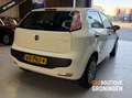 Fiat Punto Evo 1.4 Natural Power Active 5D | CNG | DEALER OH Wit - thumbnail 3